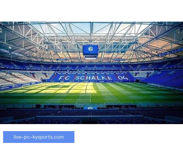 最全足球直播平台覆盖全球赛事实时高清免费观看视频解说数据分析回放